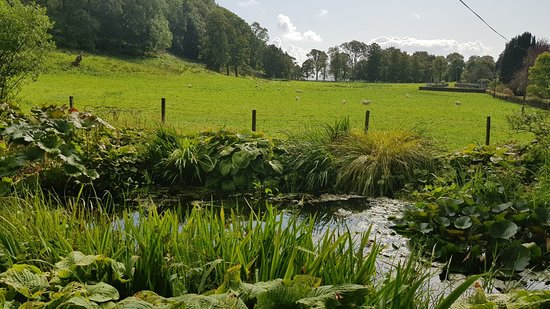 Ardmaddy Castle Garden