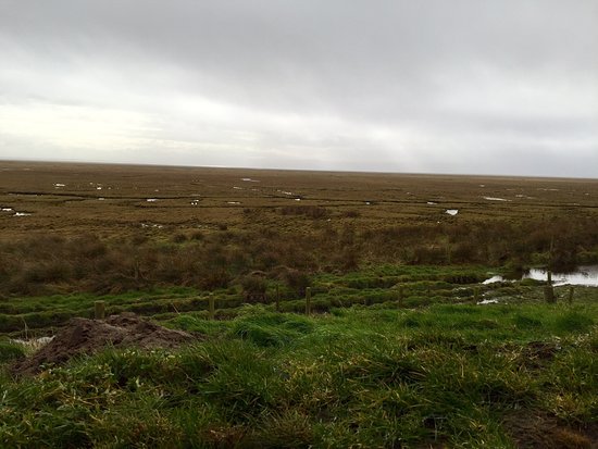 WWT Caerlaverock Wetland Centre