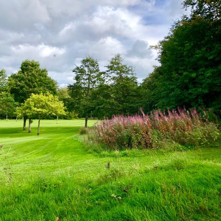 Calderglen Country Park