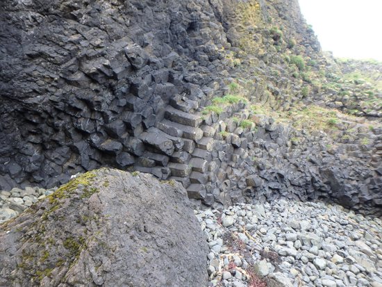 Ardtun Peninsula Leaf Beds