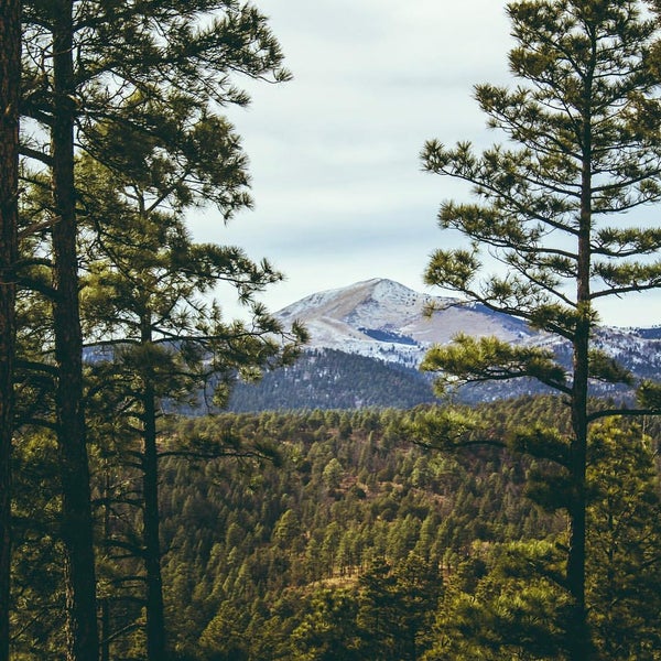 Lincoln National Forest