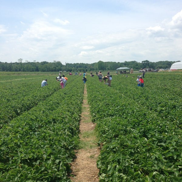 Von Thun's Country Farm Market