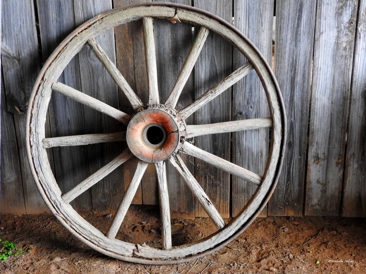 Wagon Wheel Antiques