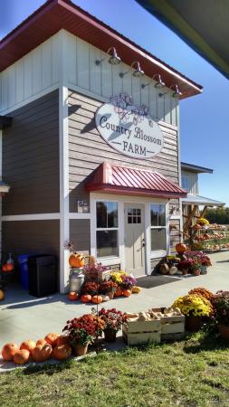 Country Blossom Farm