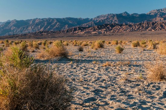 Grapevine Mountains