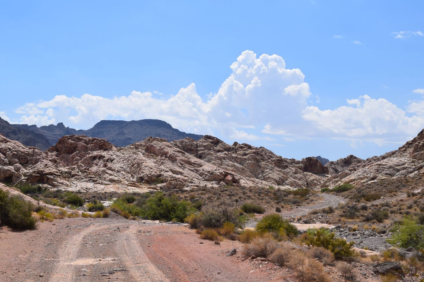 Bitter Springs Trail