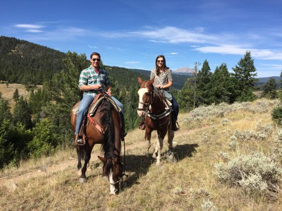 Jake's Horses