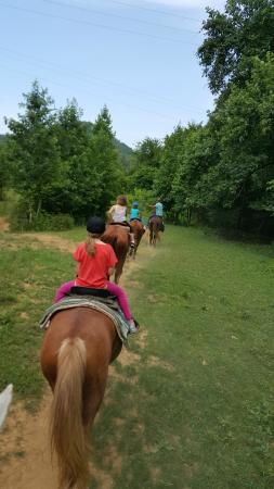 GoldRush Stables & Carriage Rides