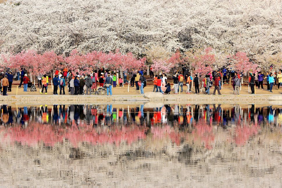 Yuyuantan Park