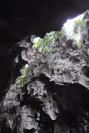 Stone Forest of Chongzuo