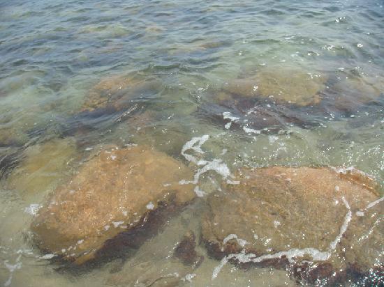 Sea Turtle Reserve Area