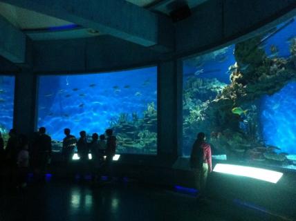 Polar Ocean World Wuhan