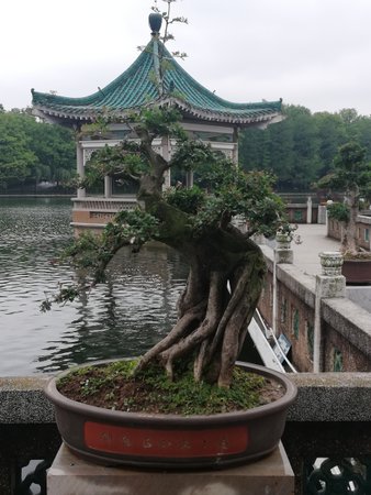 Donghu Tingtao Scenic Area