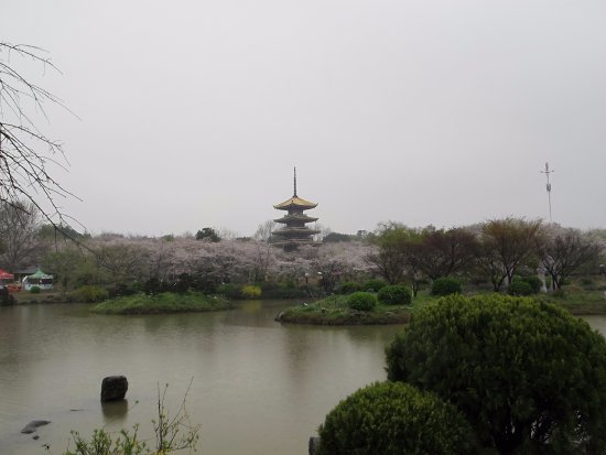 Donghu Scenic Resort