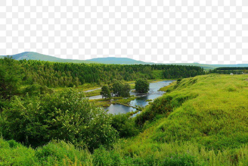 Arxan National Forest Park