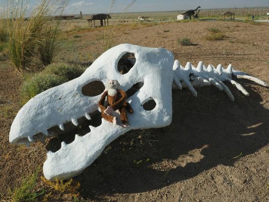 Dinosaur Museum of Erenhot.