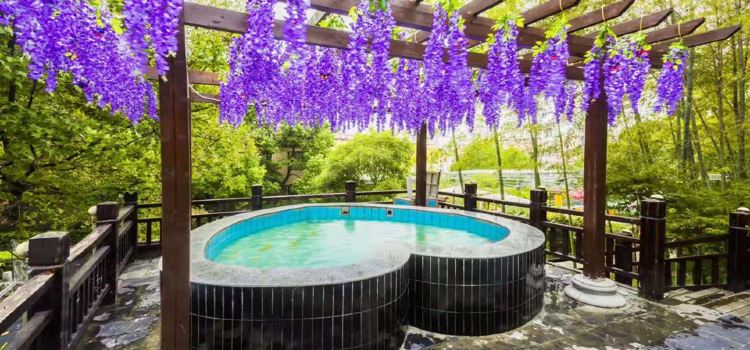 Sanjiang Senlin Hot Spring Resort