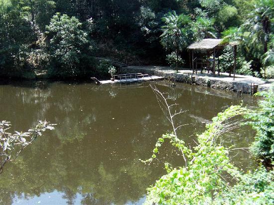 Taohuayuan National Park