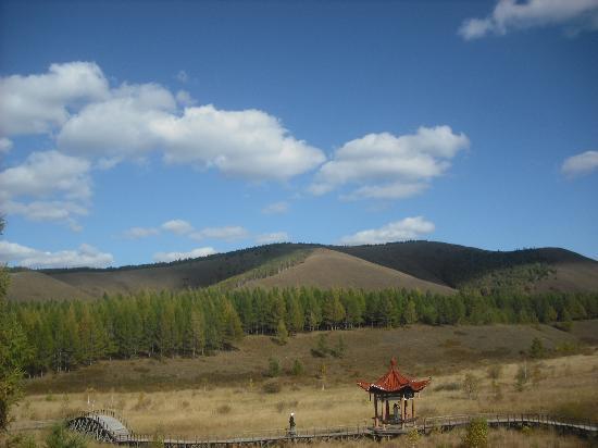 Saihanba National Forest Park