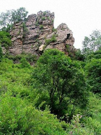 Maojing Dam Forest Park