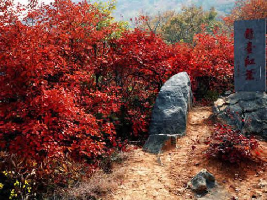 Huancui Valley Scenic Area
