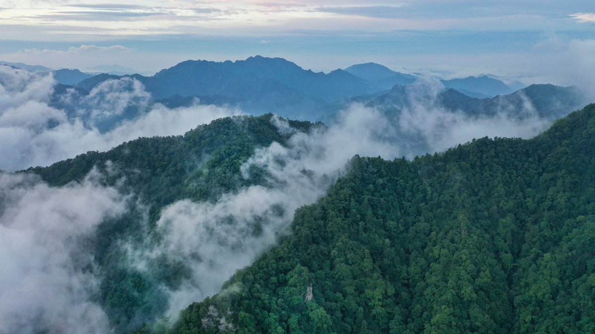 Wulongdong National Forest Park