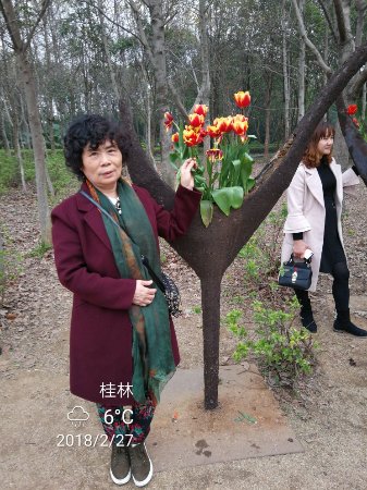 Kaiyuan Forest Park