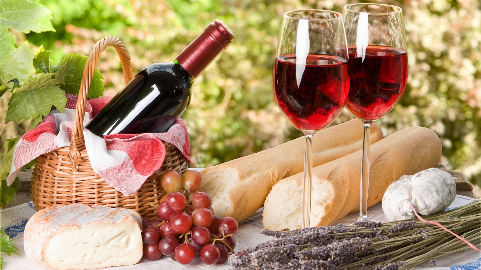 Vino Vino