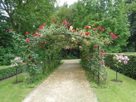 Jardin des Roses