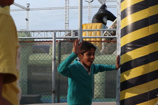 Jungle Bounce