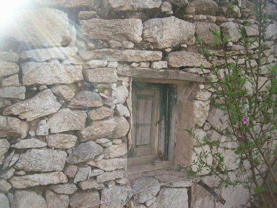Outdoor Pictures 1