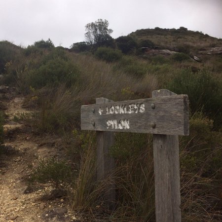 Lockleys Pylon Walking Track