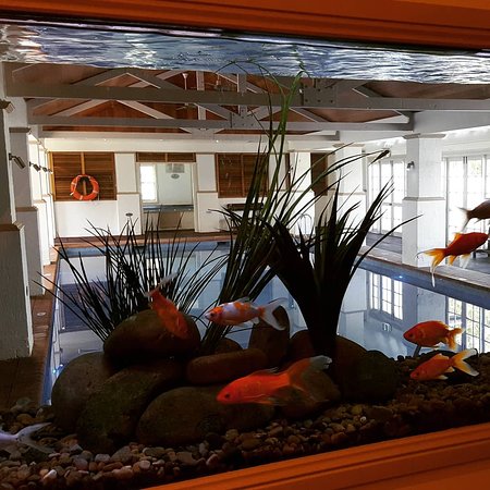 Villa Thalgo Day Spa