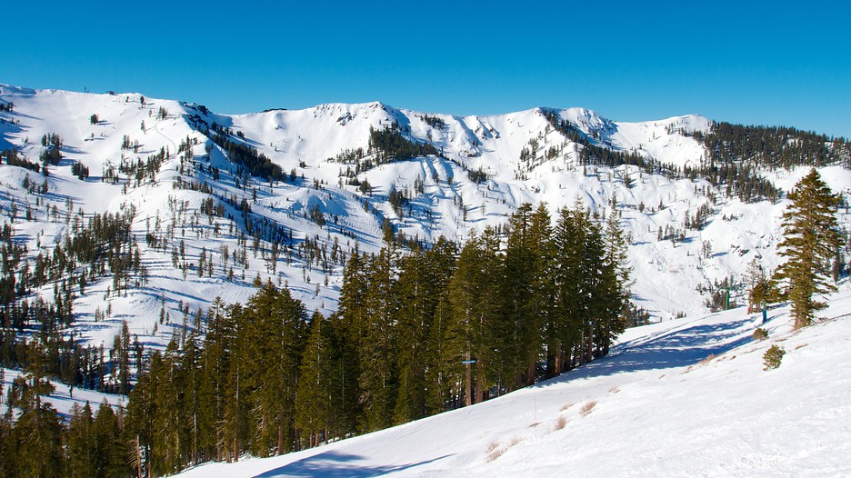 Alpine Sports Ski Rentals Blue Mountain
