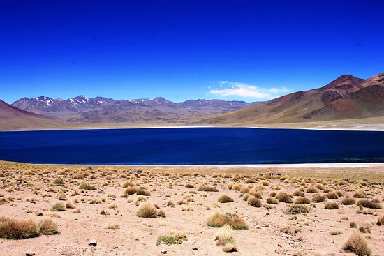 Lagunas Miscanti y Miniques