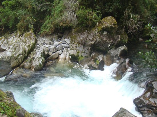 Puyehue National Park