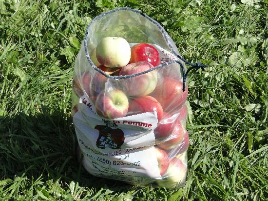 Verger La Magie De La Pomme
