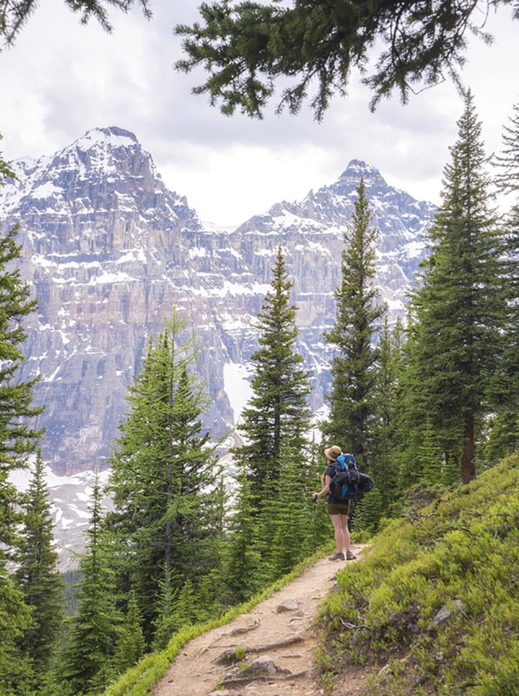 Eiffel Lake Trail