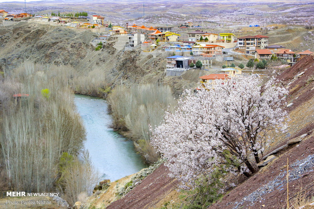 Dimeh Spring