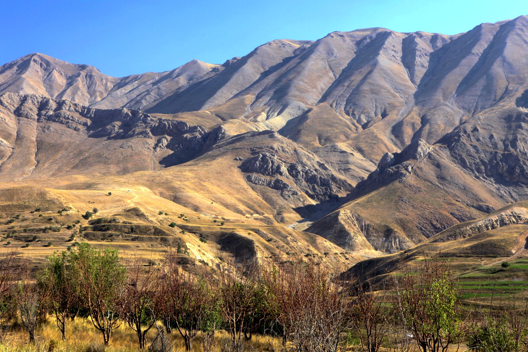 Zagros mountain