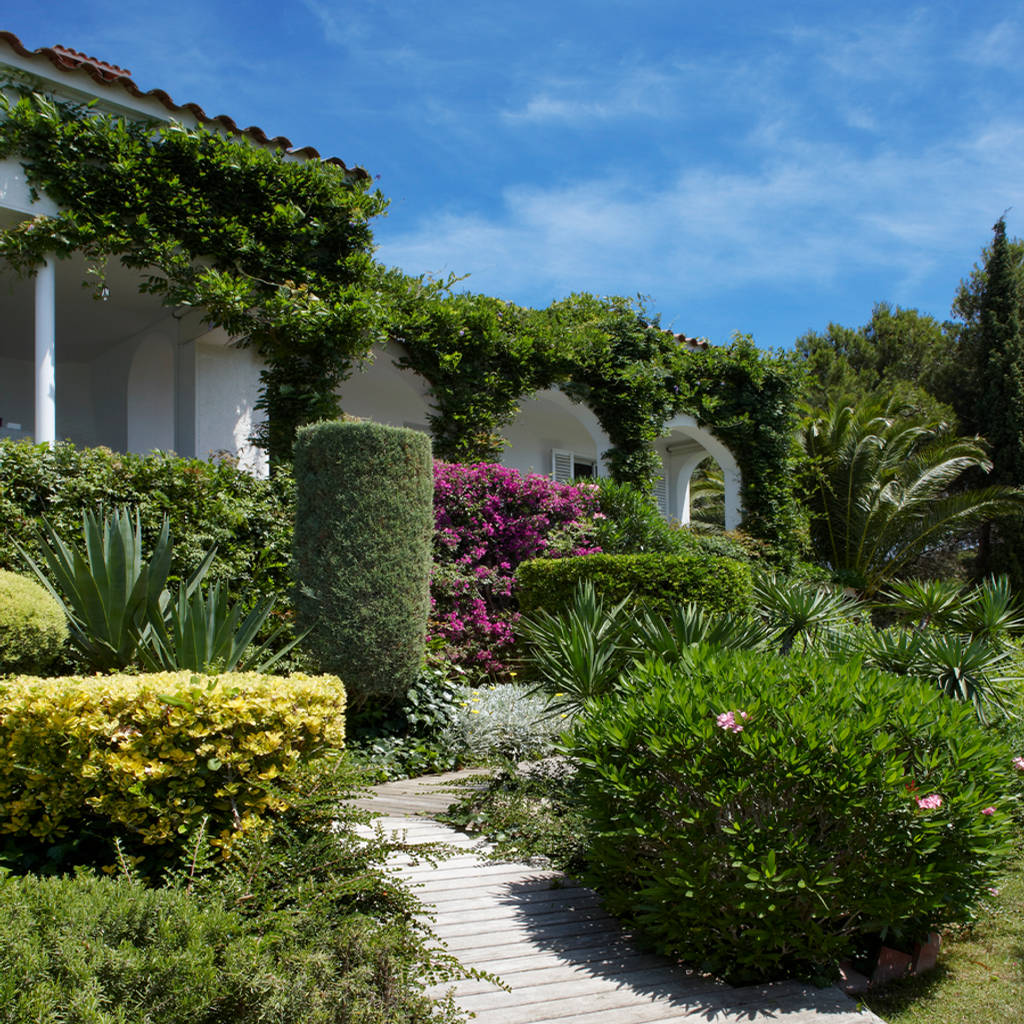 Mediterranean Garden