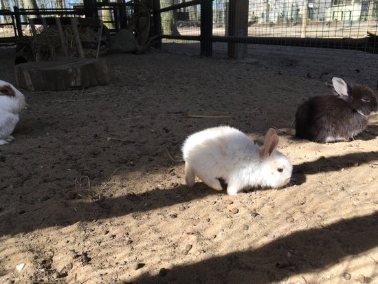 Tierpark Wolgast