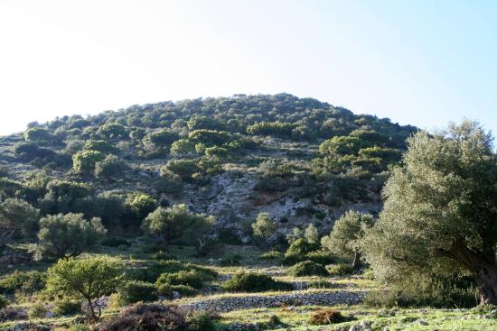 Acropolis of Alalkomenes