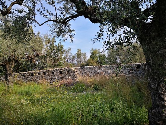 Verga wall
