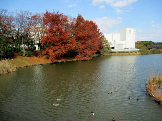 Mukaiyama Park