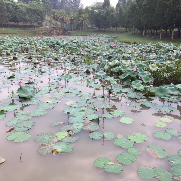 Tasik Taman Jaya