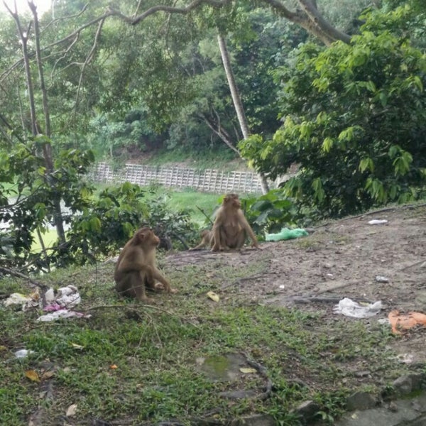 Taman TAR Wildlife Sanctuary