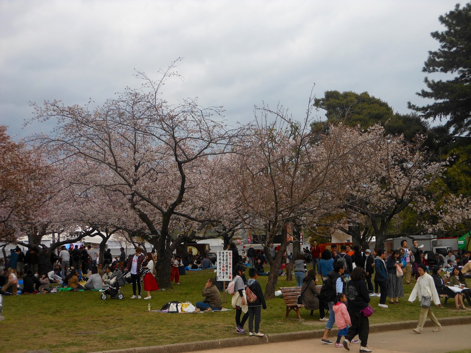 Shizuoka Matsuri
