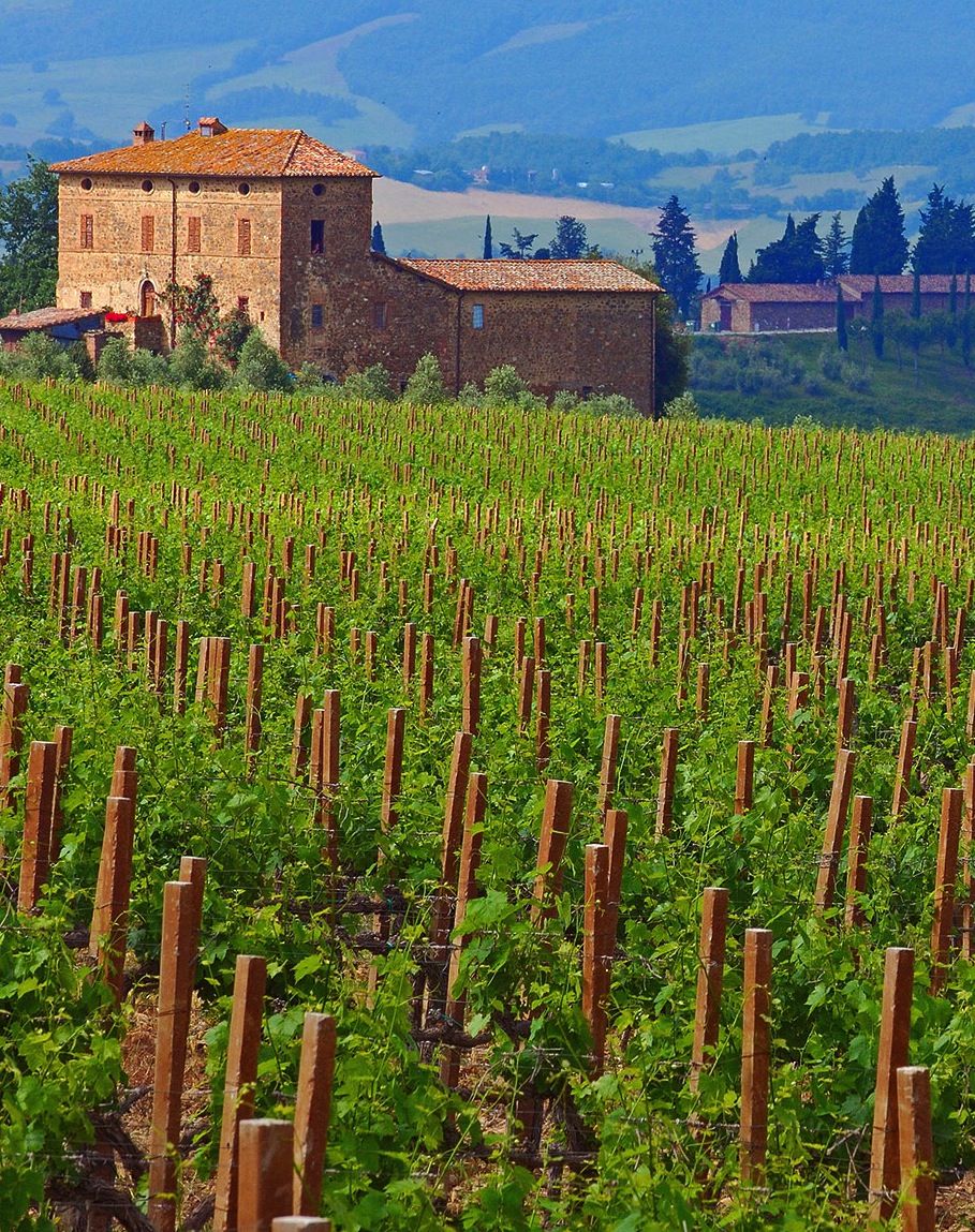 Taste Tuscany