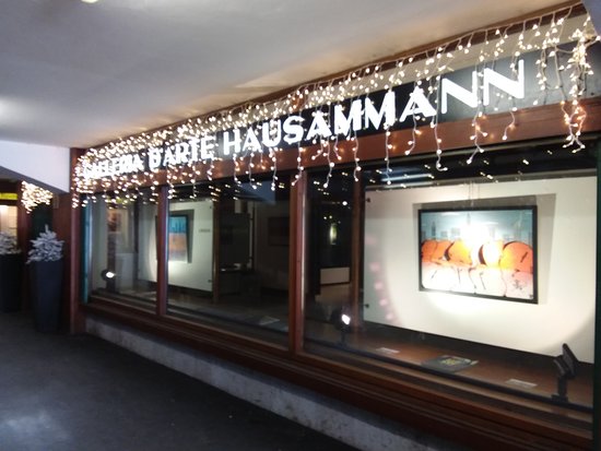 Galleria d'Arte Hausammann